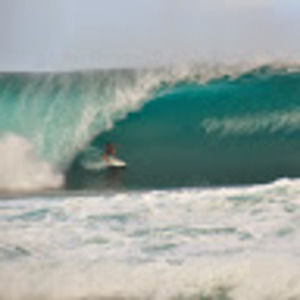 Meet your Posher, Zach